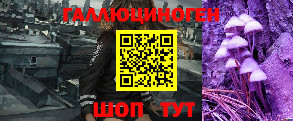 Галлюциногенные грибы Psilocybe  Вход с VPN  Галлюциногенные грибы Psilocybine cubensis  Калининград 