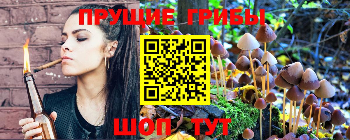 Галлюциногенные грибы MAGIC MUSHROOMS Калининград